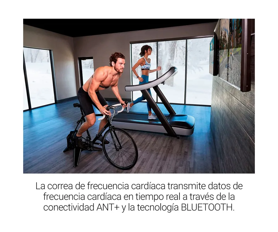 Garmin Correa de pecho de frecuencia cardíaca Premium HRM Dual ANT+  Bluetooth - bike-components